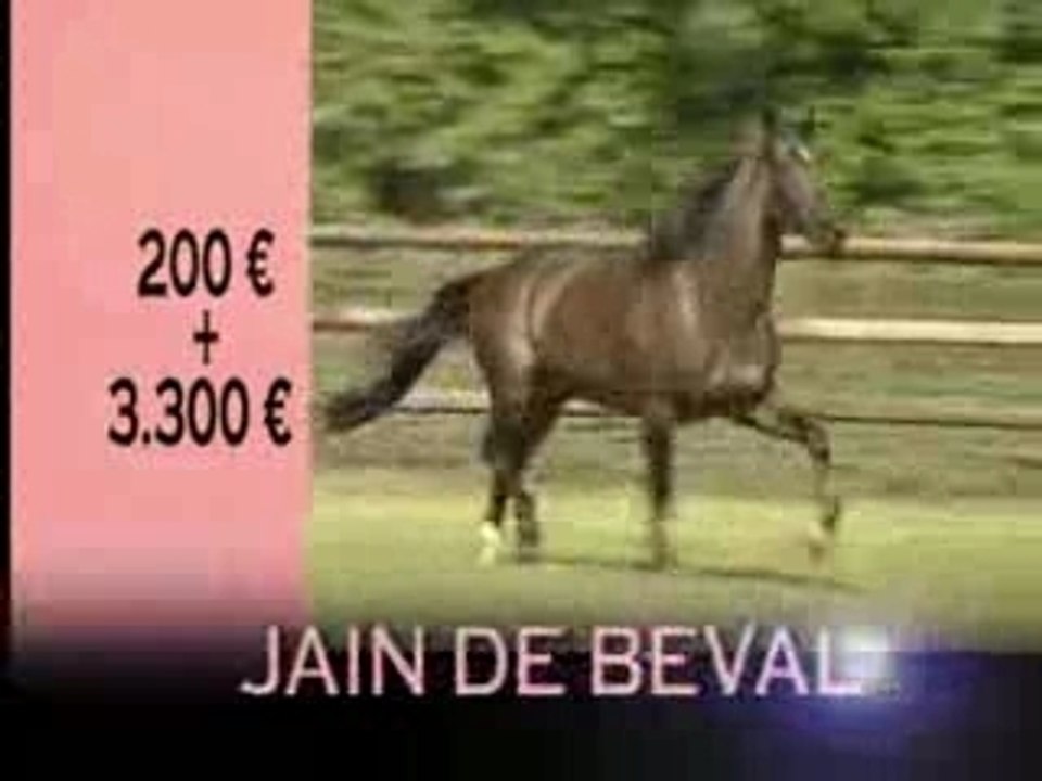 Haras de Retz - 2008