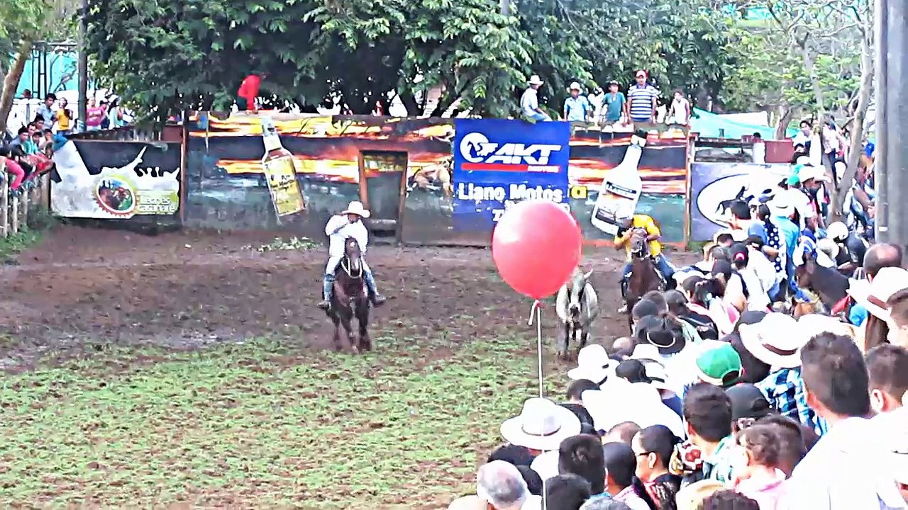 COLLEGE FESTIVAL COLLEGE