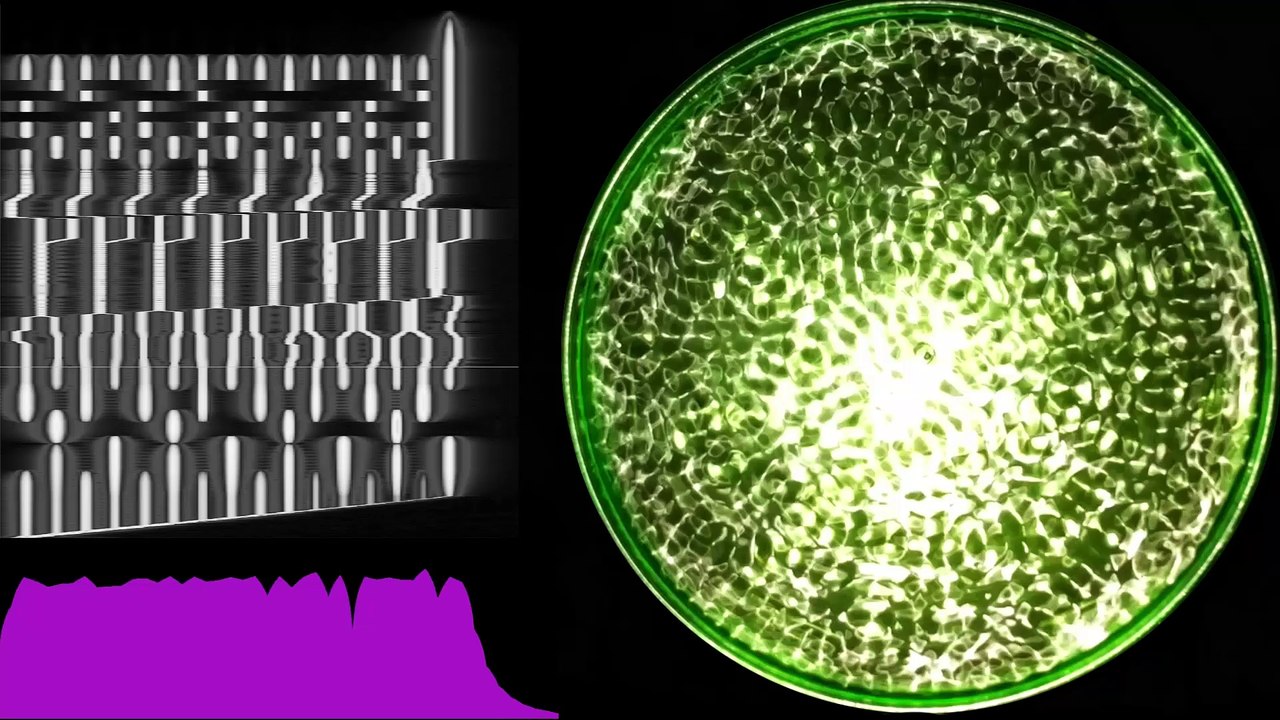 All for One, One for All ~ Cymatics v1 + Additive Synthesis