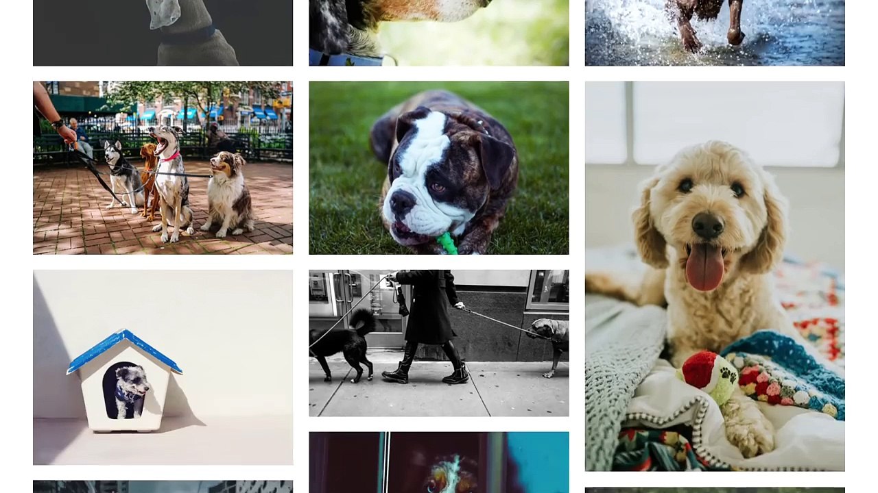 What Can You Do with Python- - The 3 Main Applications