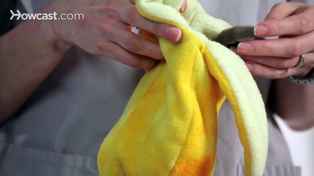 Drawbacks of Having a Pet Sugar Glider | Sugar Gliders