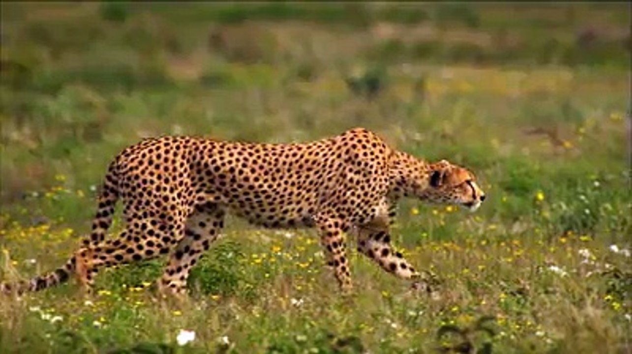 Prochainement... #4G