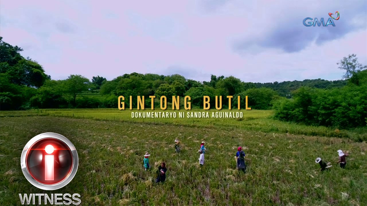 Gintong Butil: Pagsusuri sa Kalagayan ng Magsasaka sa Panahon ng Mataas na Presyo ng Bigas 🌾