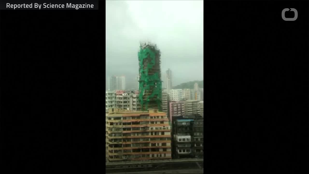 Florence, Mangkhut A Boon Of Disaster Data For Scientists