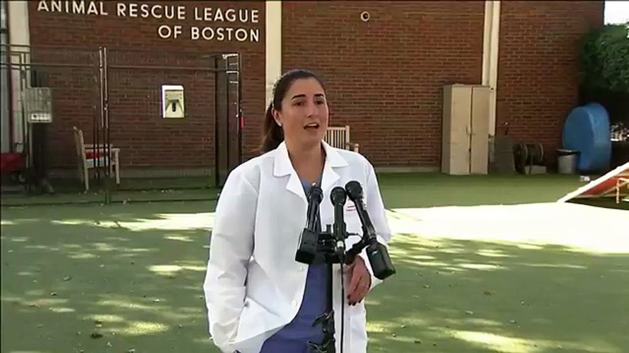 Animal Rescue League alerting public of uptick in Leptospirosis, a deadly bacteria that can infect both pets and humans