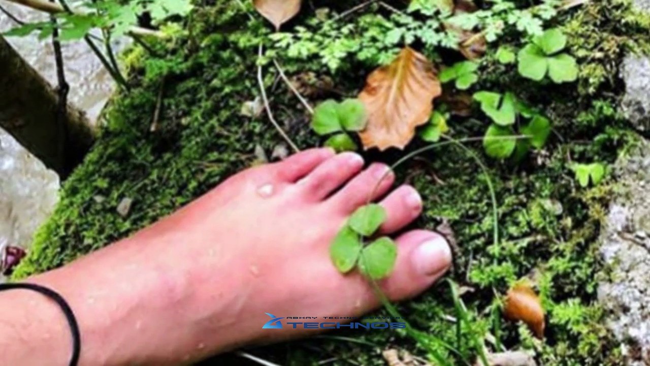 Is Anushka Getting Married(tamil)