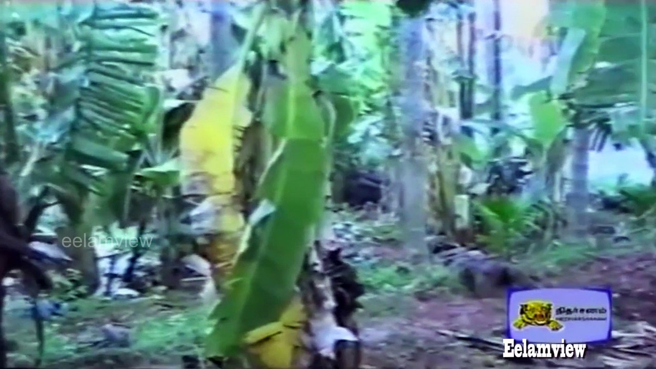 History of Leader Prabhakaran and Tamil's Liberation Struggle  Part 4