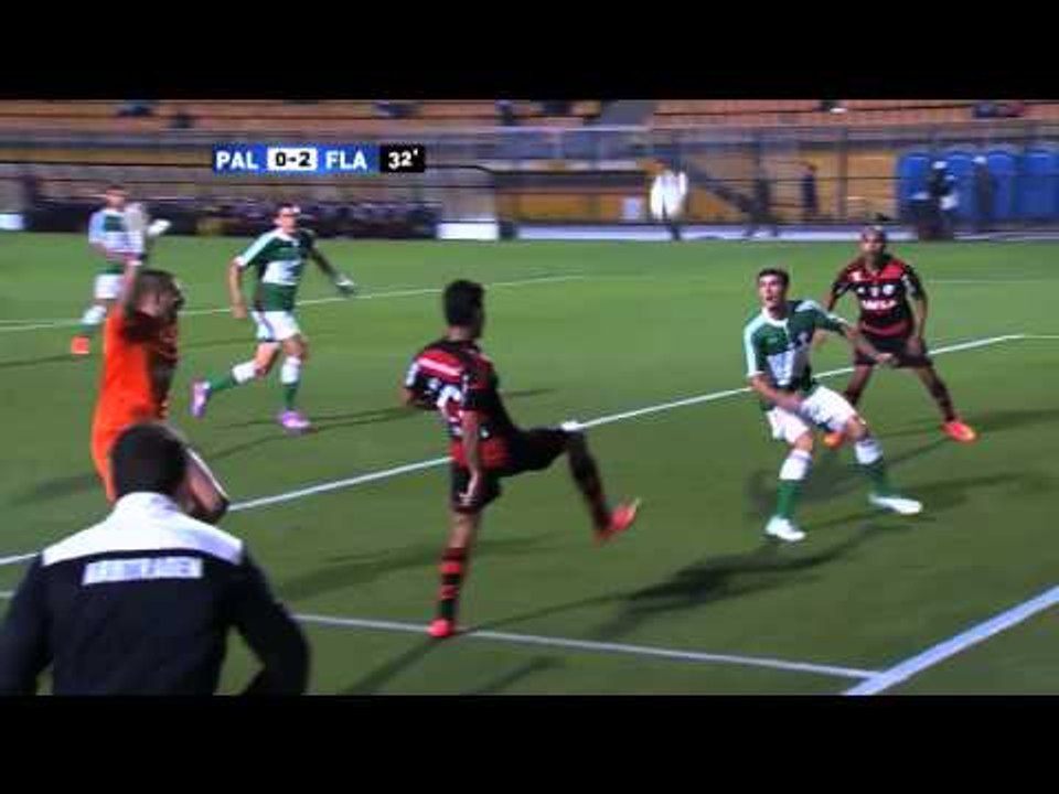 Palmeiras vs. Flamengo