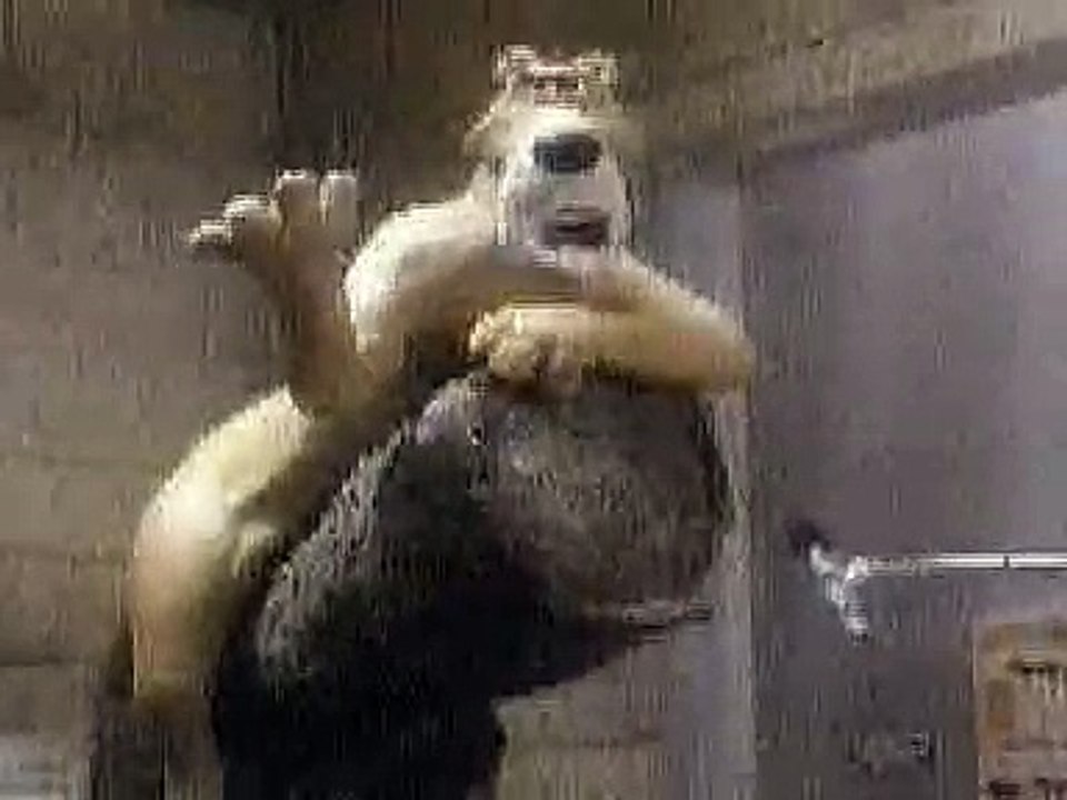 Science, Engineering & Technology Explained: What's the Difference? 🔍