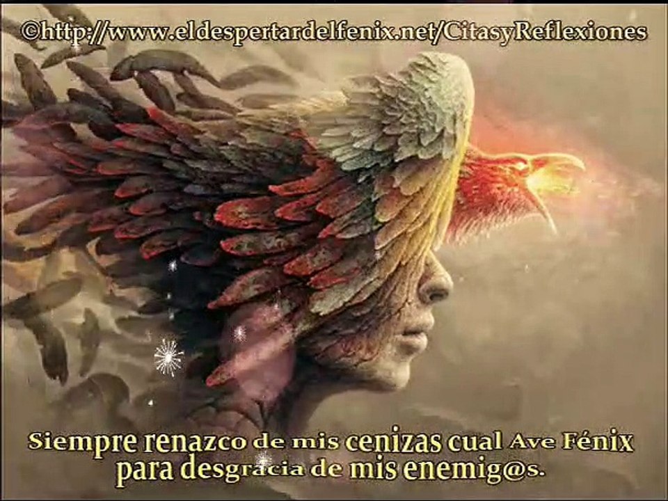 Ave Fenix