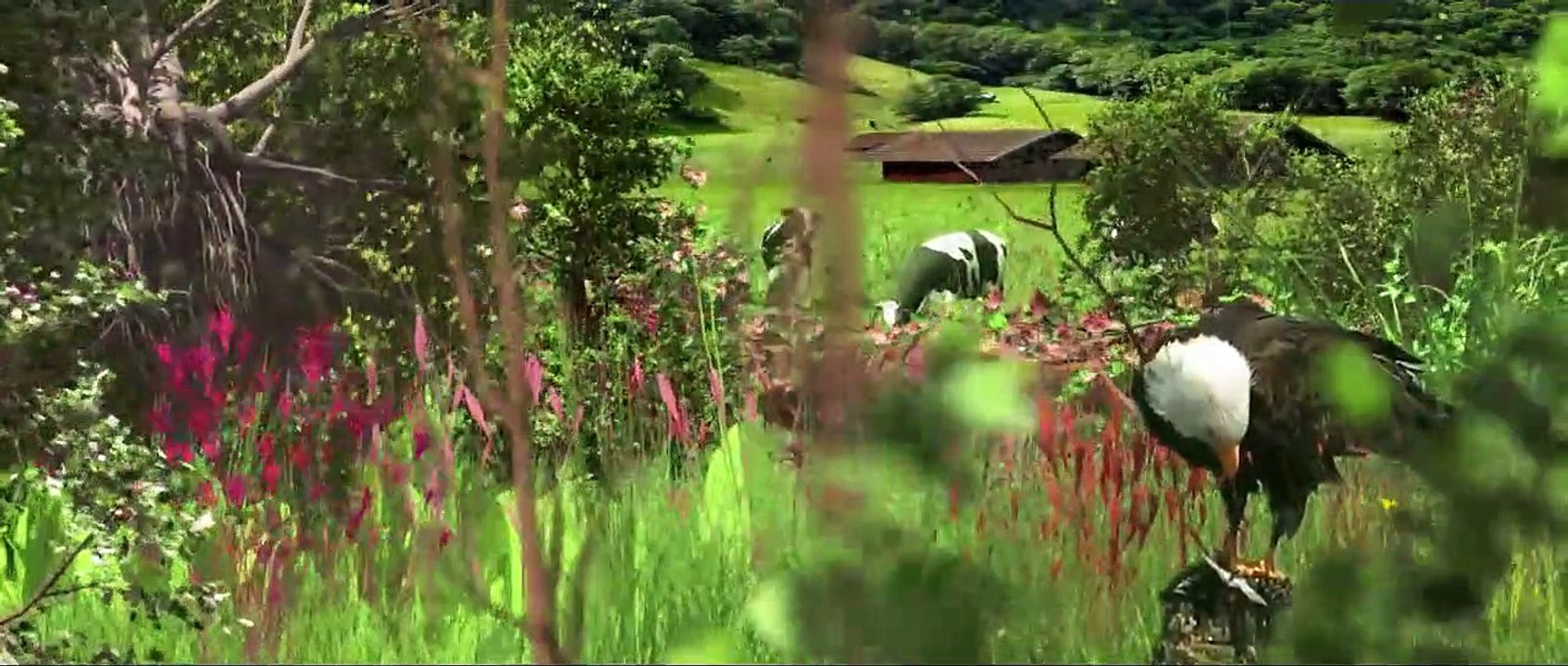 Explore Top Short Films from Major Cities & Countries 🎬