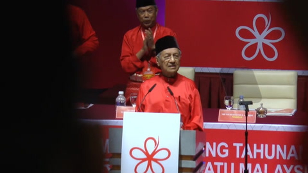 Dr M: Only Malays can save the Malays