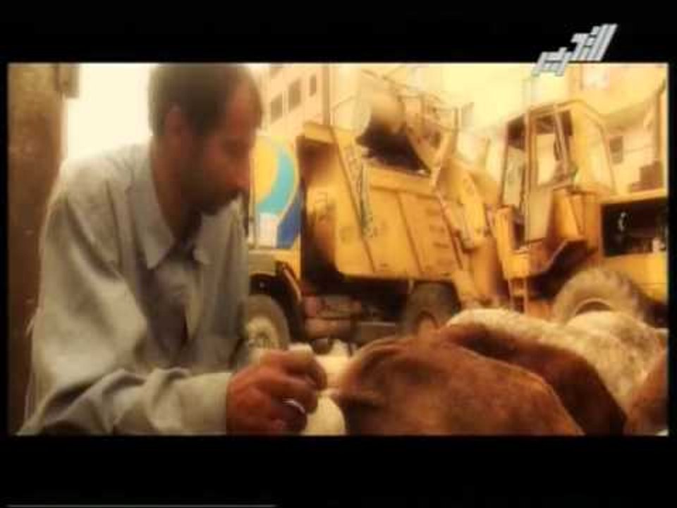 من يحمى المصريين من خروف القمامة نفتح ملف خروف العيد فى ملف مفتوح