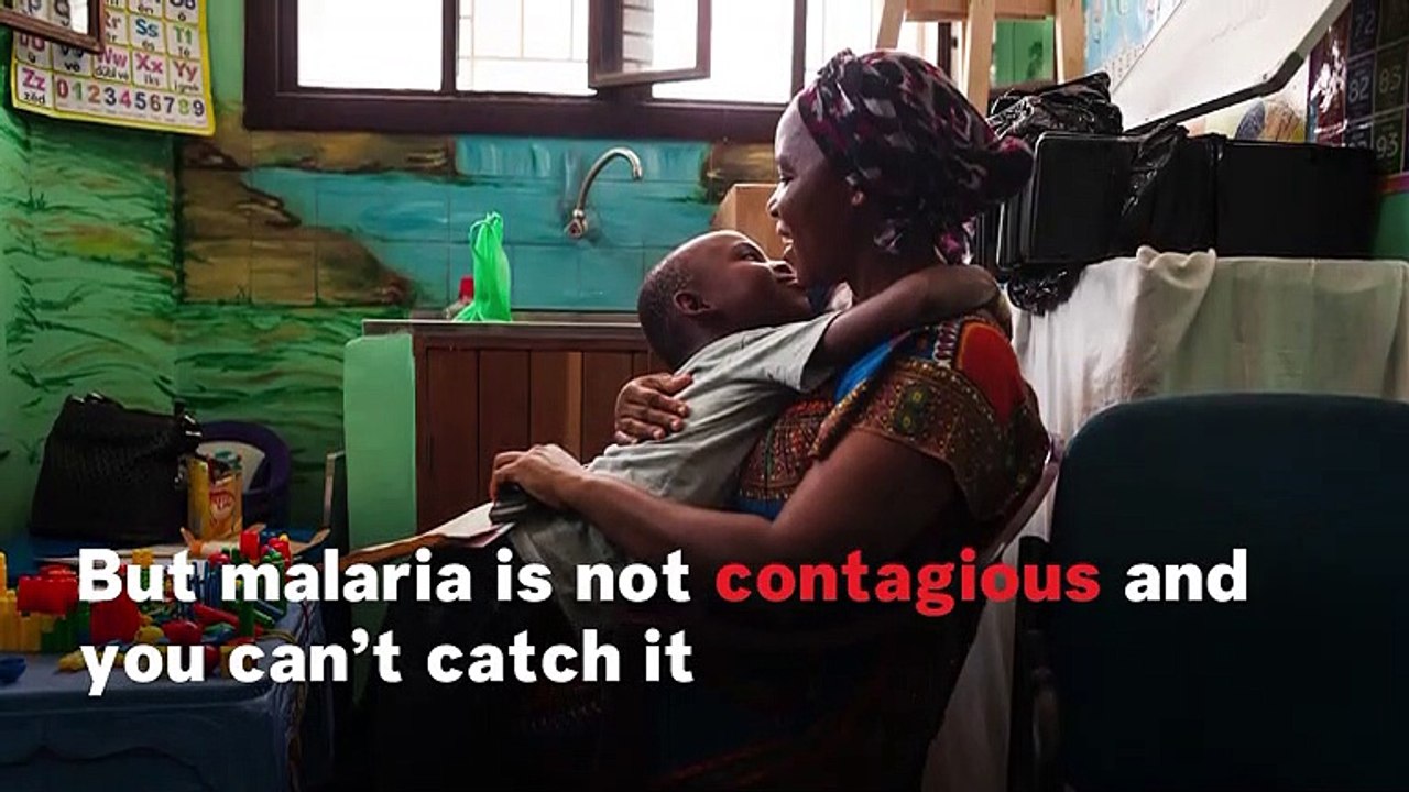 What Is Malaria?
