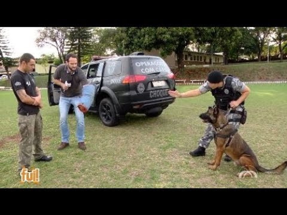 Fui!: Operações policiais com cães (3 de 3)