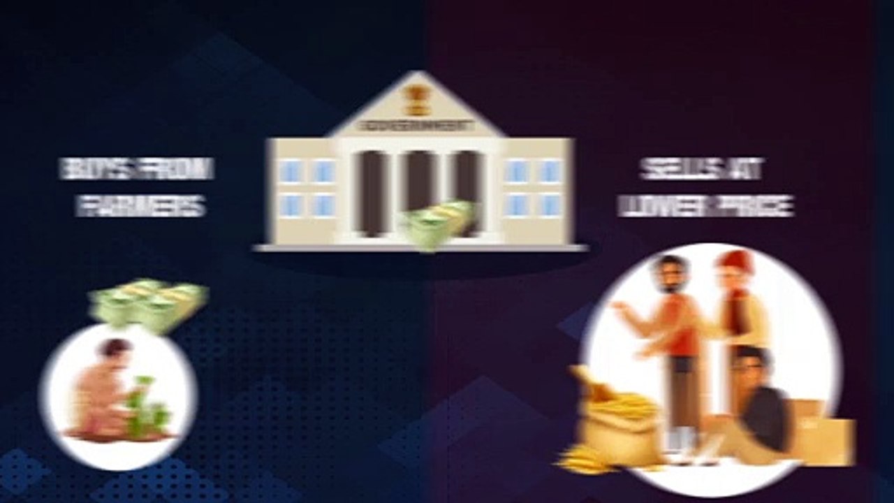 Budget in a Minute: What are subsidies and what they cost the govt?
