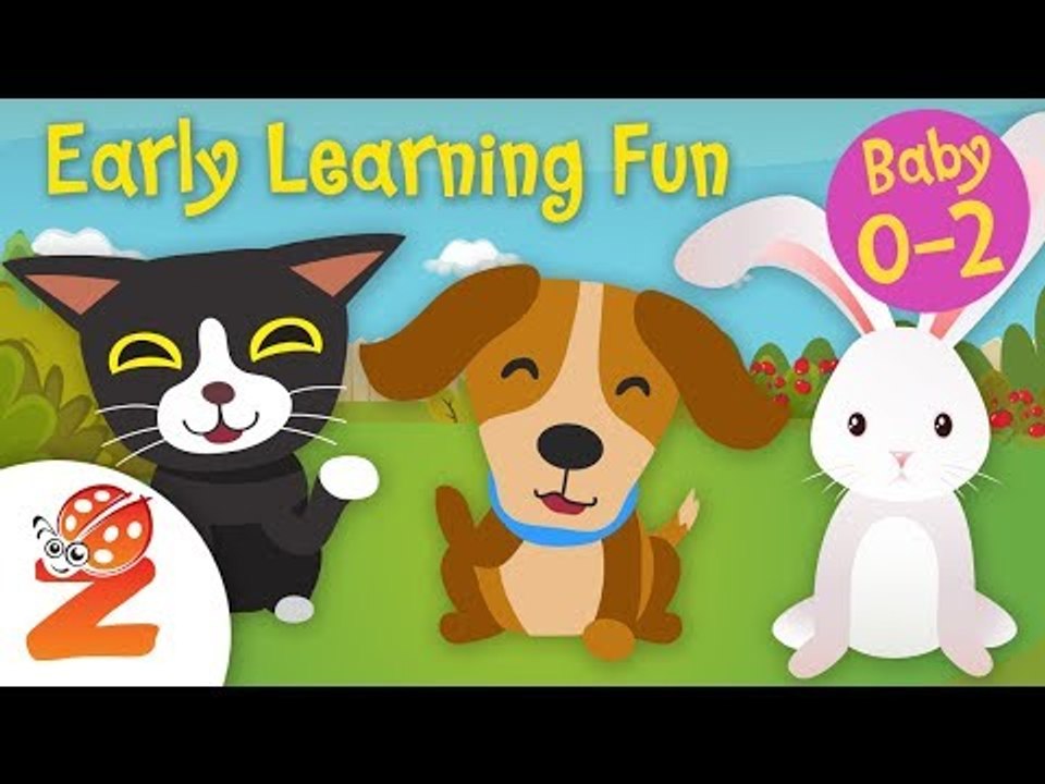 Early Learning Fun #6 | Pet Animals   Counting & Colors | Educational
