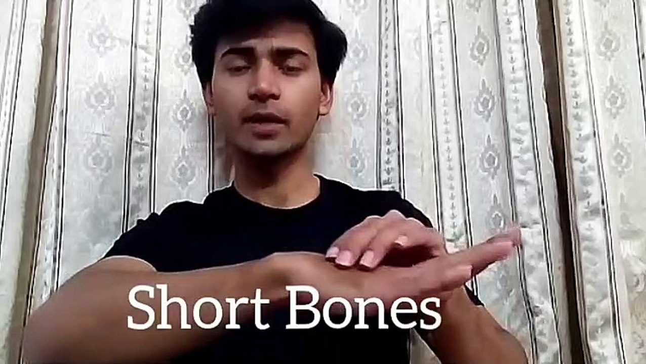 Fundamentals Of Anatomy & Physiology