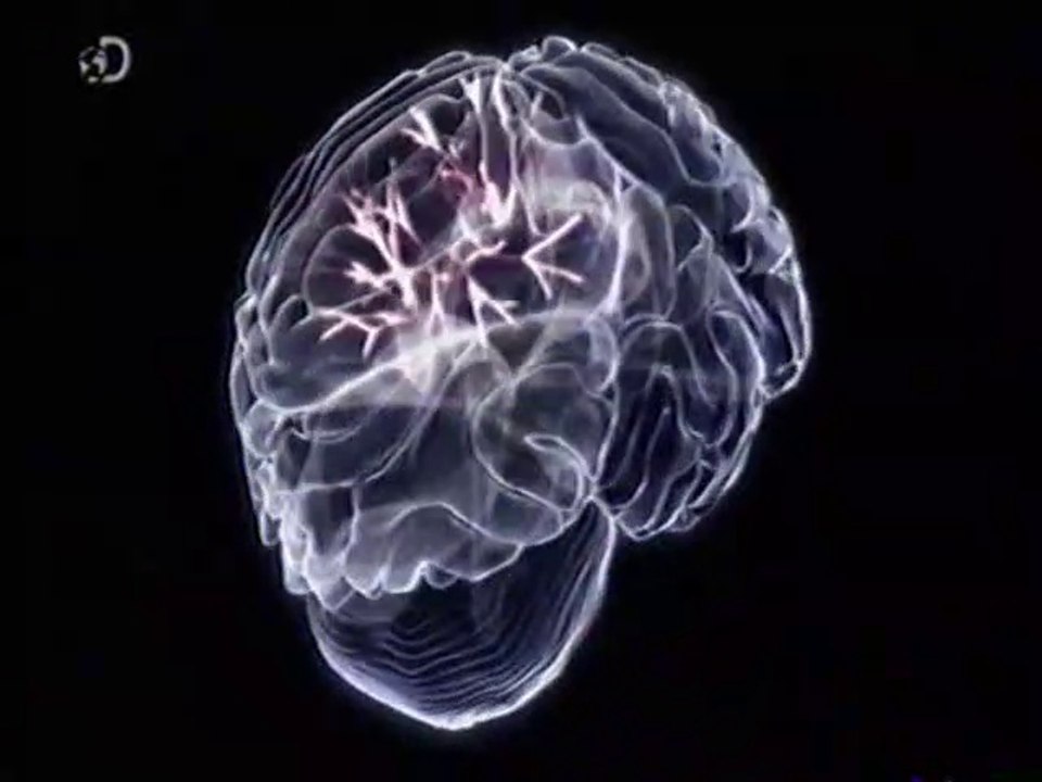 Sinestesia: Genio matematico por TCE (Jason Padgett)