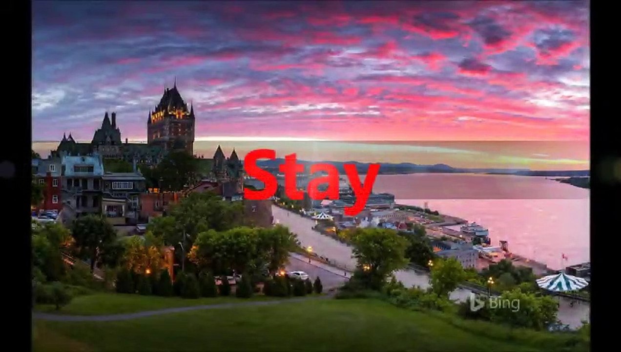Stay (January 1999 - March 1999)