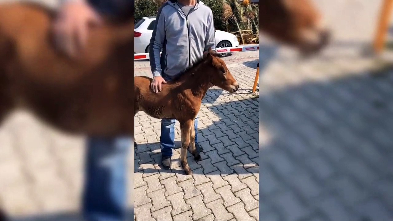 Gizem Karaca Arkadaşları İle Çok Eğlendi!