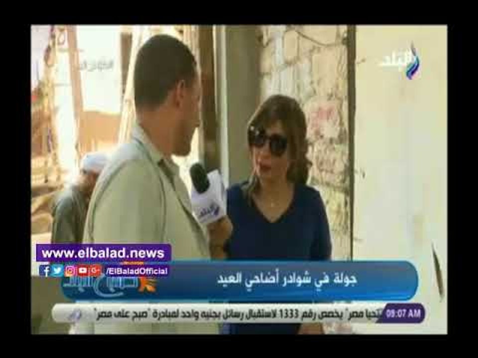 صدي البلد | أعرف ازاى تشترى خروف العيد بدون غش