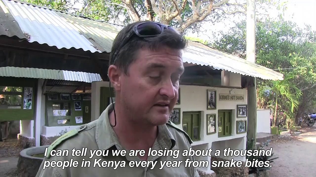 Kenyan snake farm owner battles to secure more anti-venom