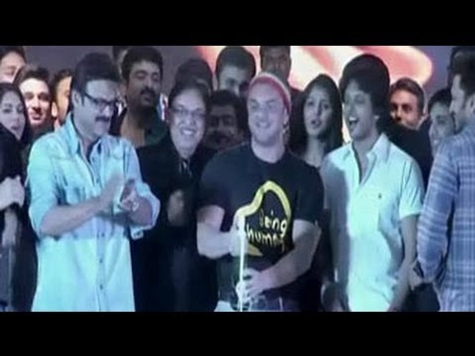 Work hard and party harder!