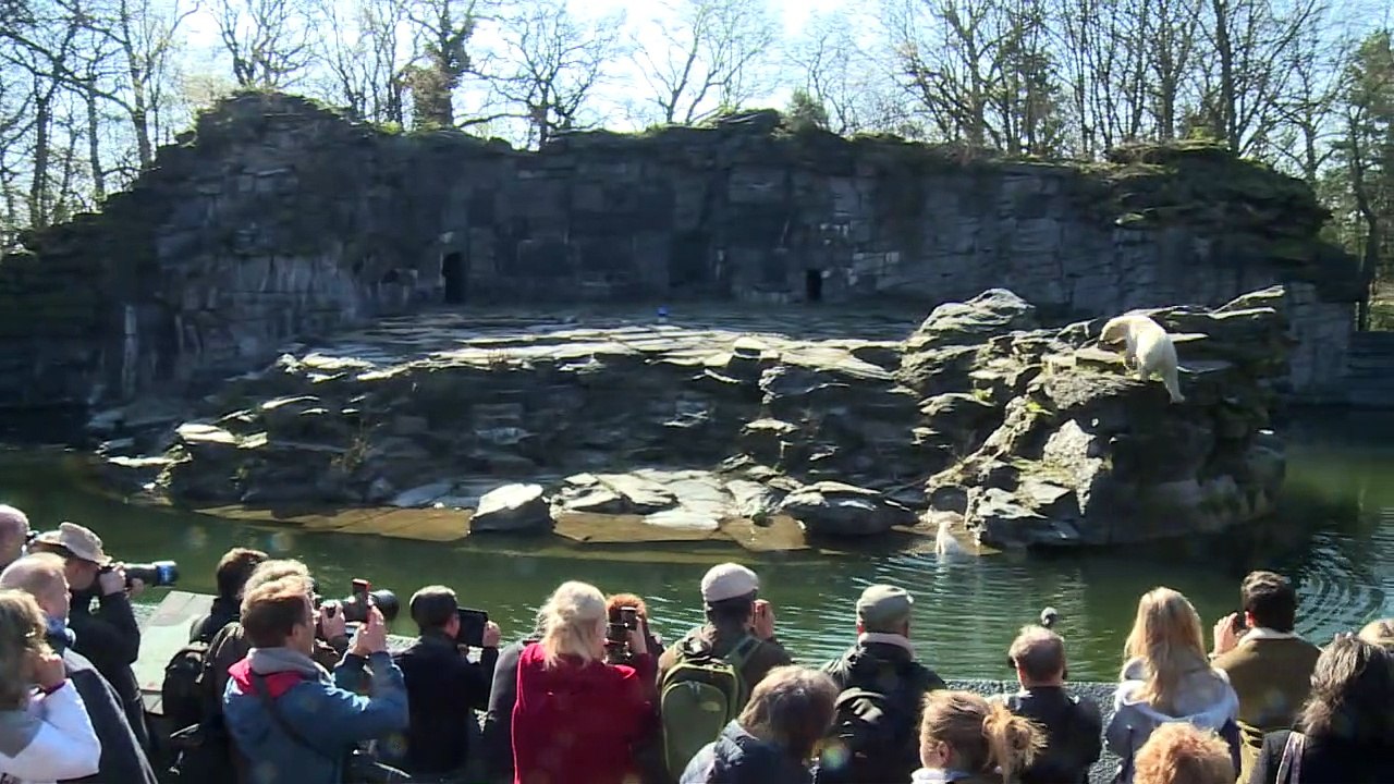 Berliner Eisbären-Mädchen heißt Hertha