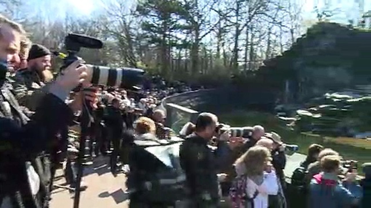 Berliner Eisbären-Mädchen heißt Hertha