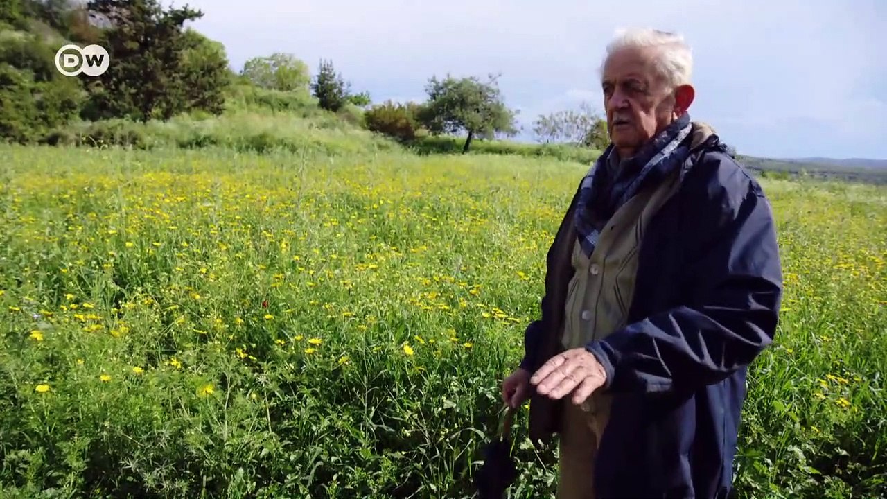 Displaced Palestinians - the returnees | DW Documentary