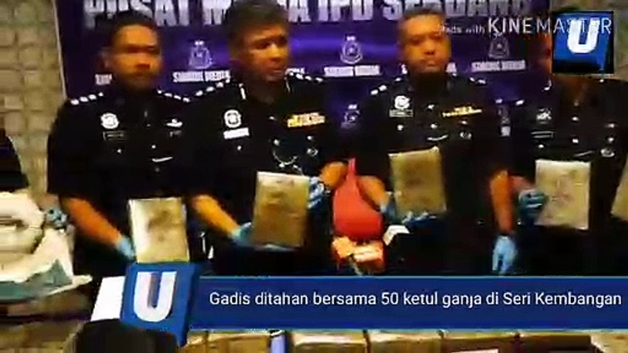 Gadis Ditahan Bawa 50 Ketul Ganja Bernilai Tinggi 🚓