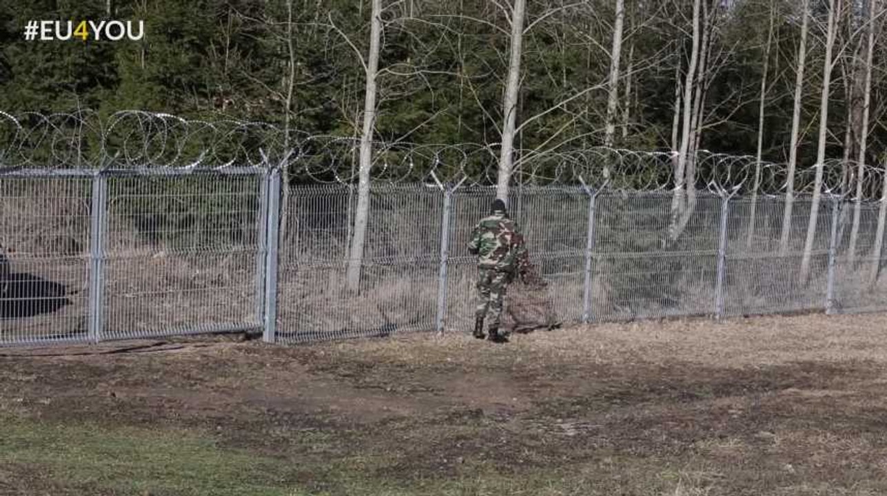 EU4YOU: Lituanie réseaux sociaux