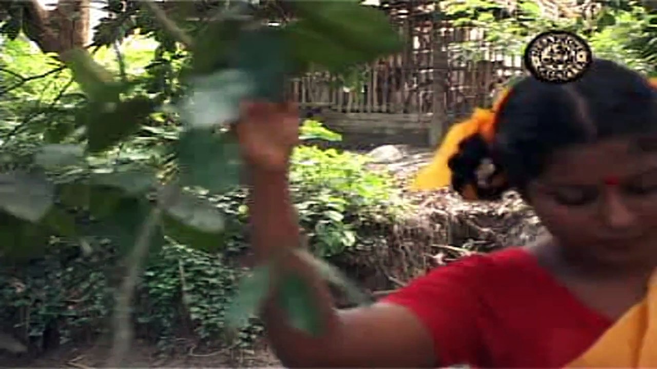 Mon Janala Khule Dena