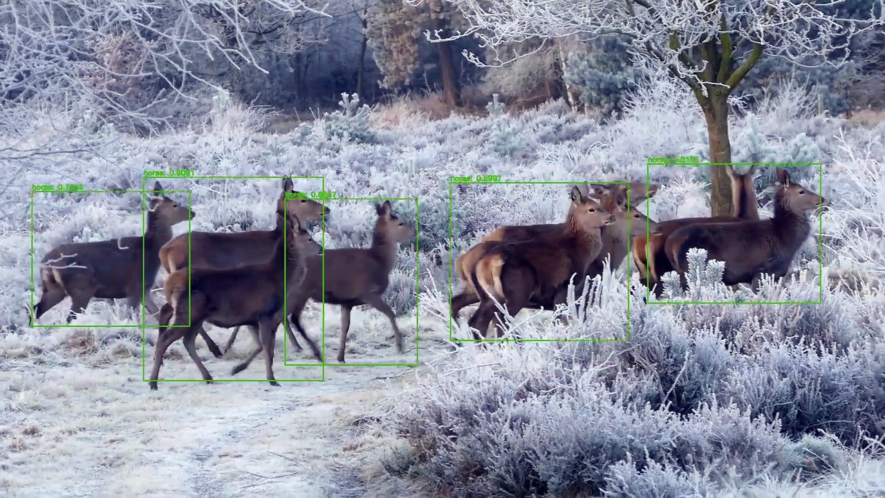 Object Detection and Tracking with Yolo