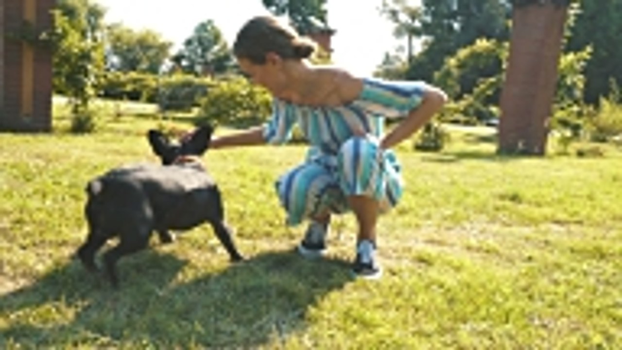 Positive Hundeerziehung: Gewaltfrei & Erfolgreich 🐶