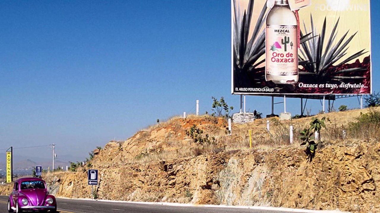 What's the Difference between Tequila and Mezcal?