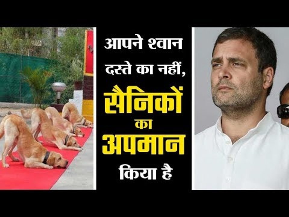 Dear Rahul Gandhi, do you even know who service dogs are and what they do?