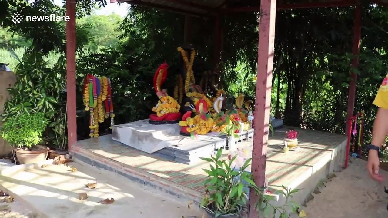 Aggressive python caught inside washing machine