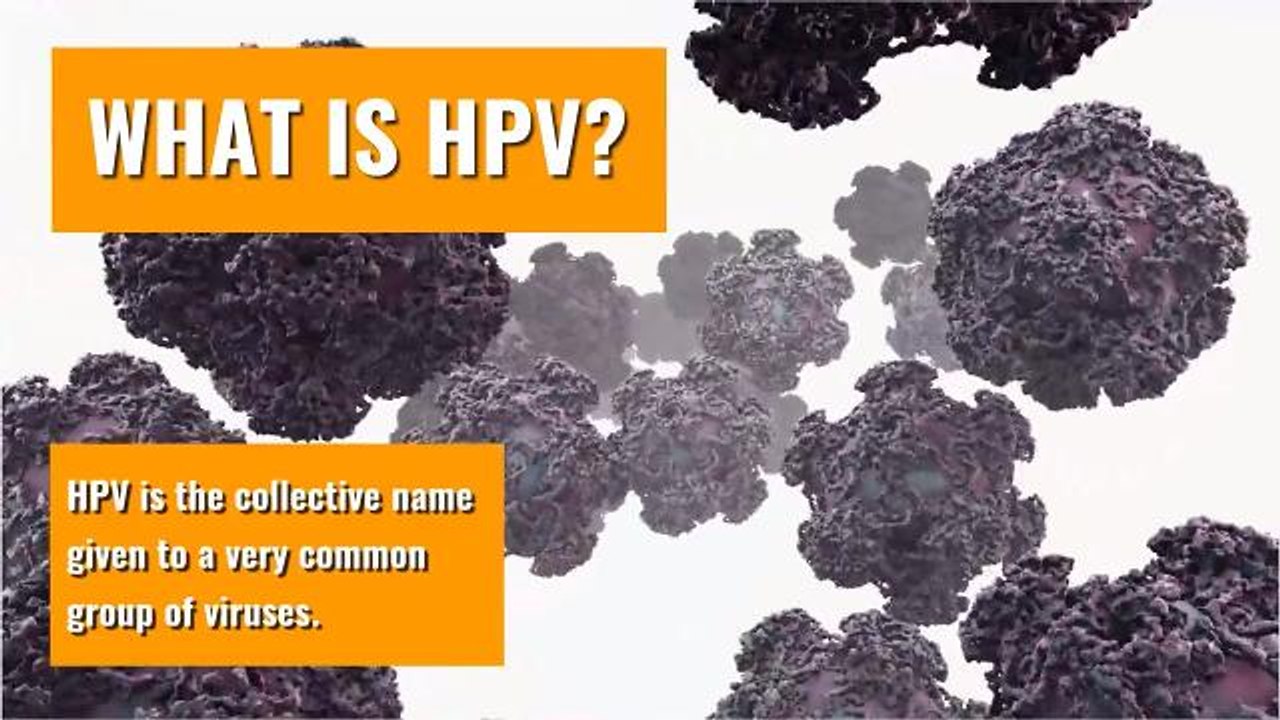 Health and Fitness_What_is_HPV explainer