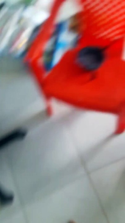 Lots and Lots of Lice