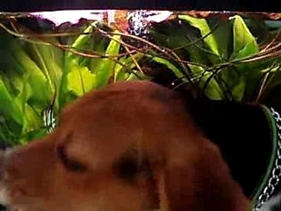 Photo 667: A Captivating Image