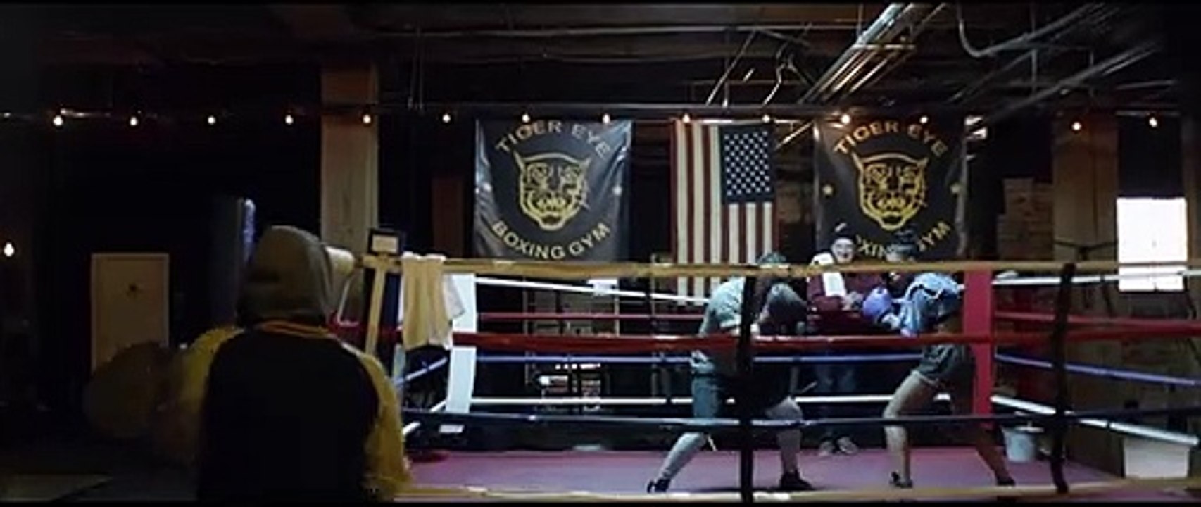 Ed Sheeran - Shape of You [Official Video]