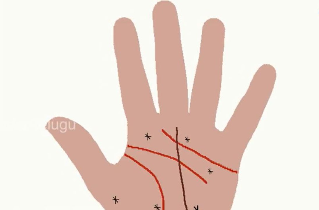 ఈ రేఖలు మీ చేతిలో ఉన్నాయా?? మీరు కోటీశ్వరులవుతారు | Do You Know What Is The Meaning Of Palm Lines?