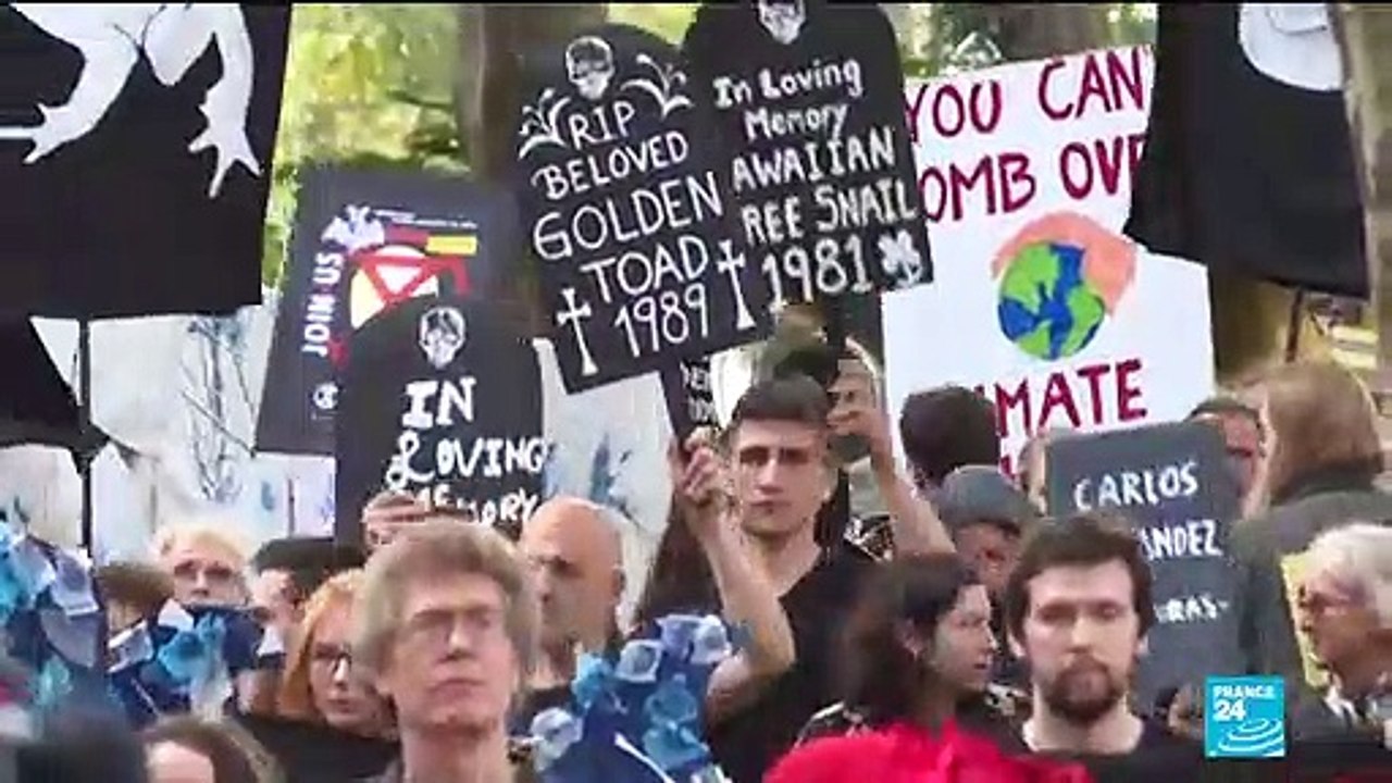 Extinction Rebellion: Who are they and what do they want?