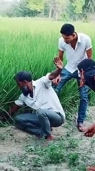 Homme courageux face à un serpent dangereux