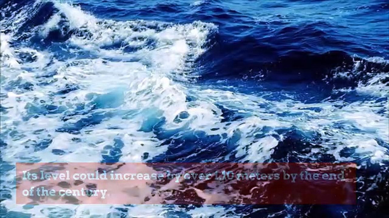 The News of the Week 24/10/2019