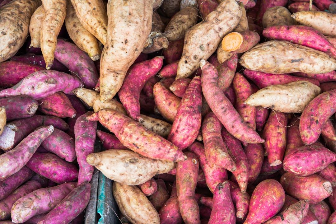 The Difference Between Yams and Sweet Potatoes Is Structural Racism