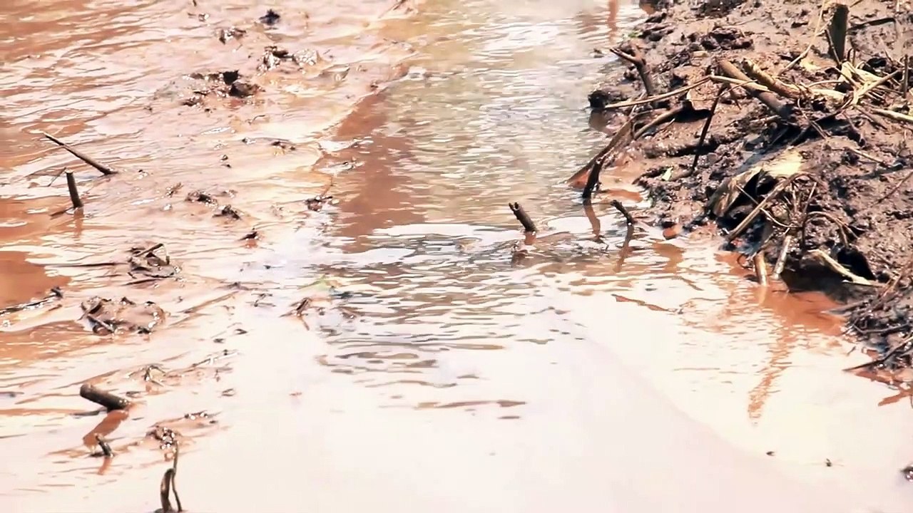 What is Meditation - Meditation - Hindi