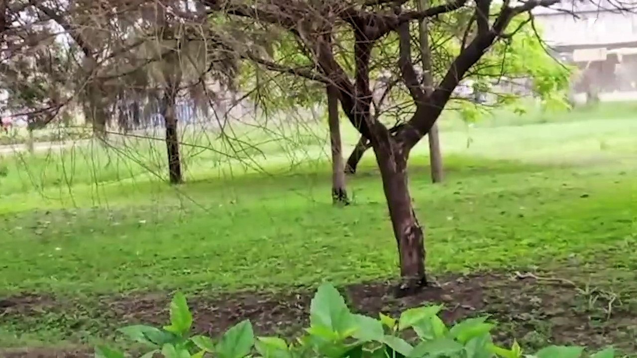 JKUAT Students students engage police